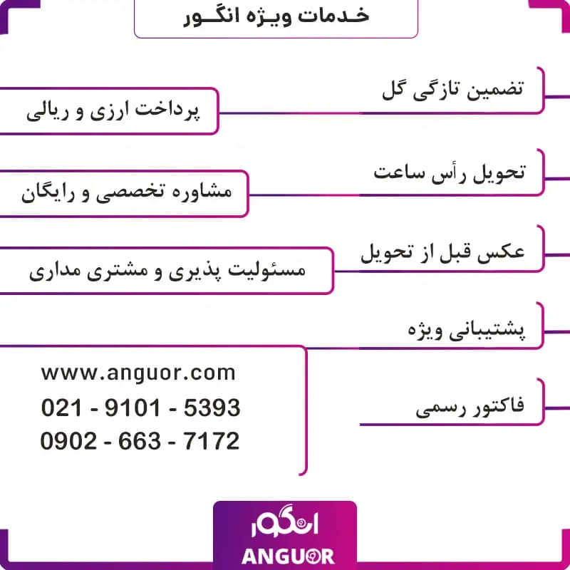 سبد گل آلسترومریا — تصویر ۳