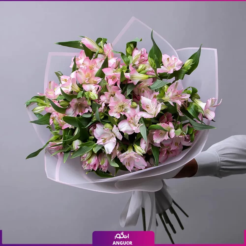 دسته گل آلسترومریا صورتی (30 شاخه) — تصویر ۲