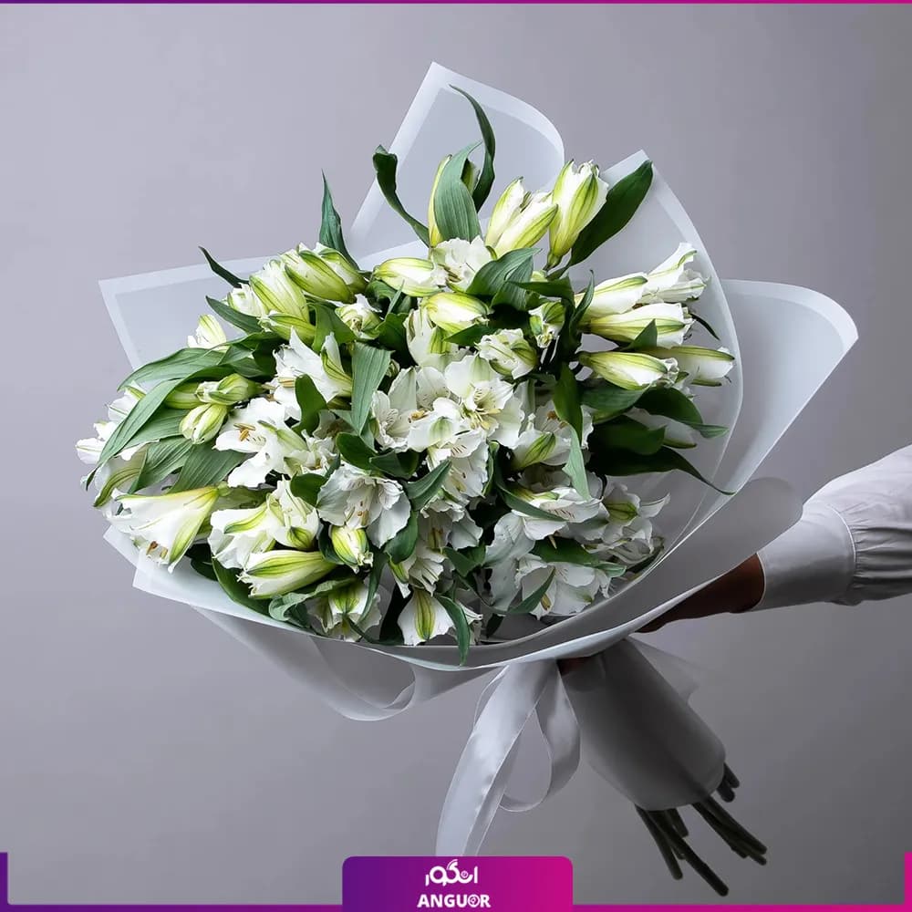 دسته گل آلسترومریا سفید (18 شاخه)