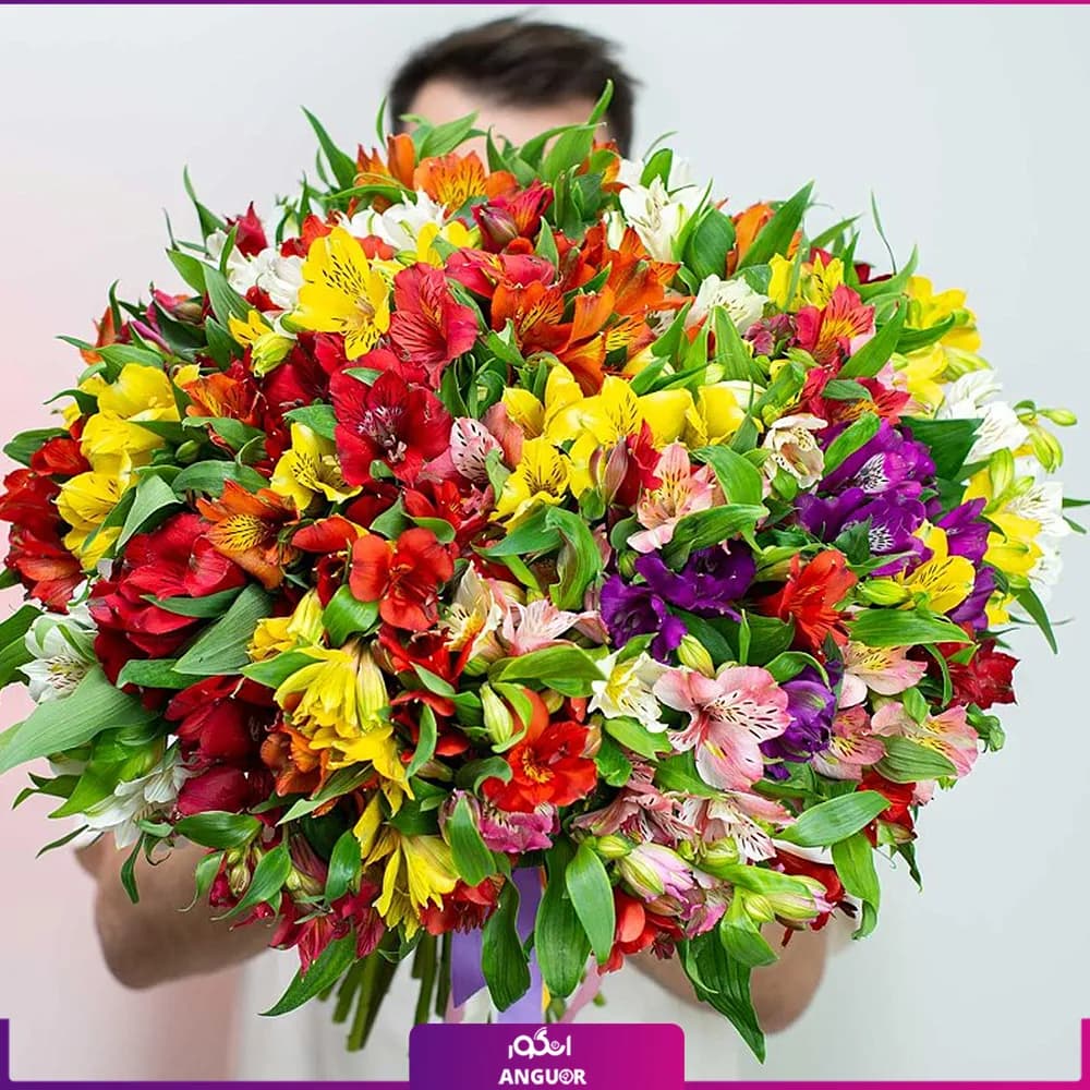 دسته گل آلسترومریا رنگارنگ 60 شاخه