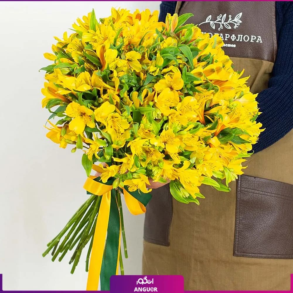 دسته گل آلسترومریا زرد (50 شاخه) — تصویر ۲
