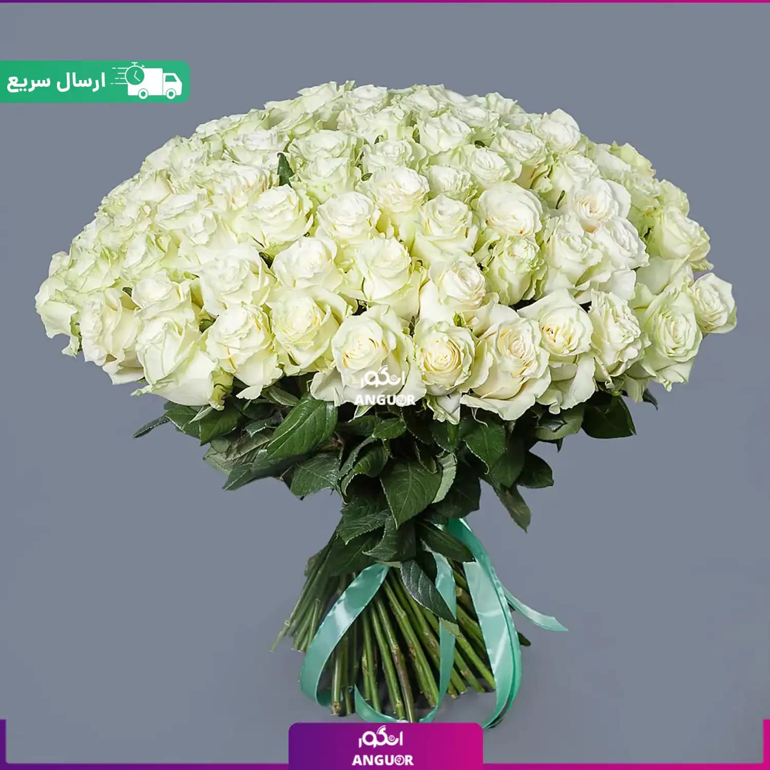 دسته گل بزرگ رز سفید – ۱۰۰ شاخه (ارسال فوری) — تصویر ۳
