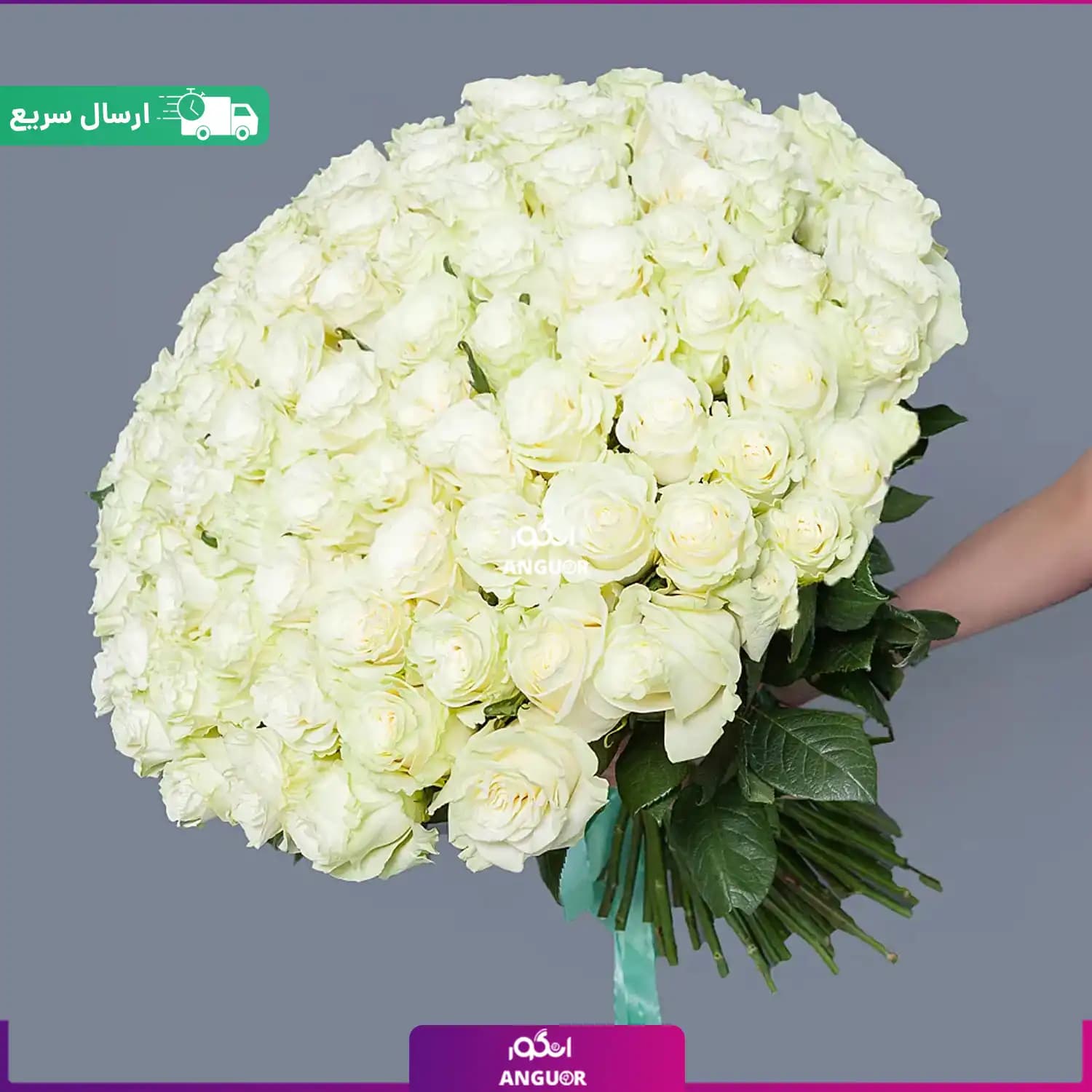 دسته گل بزرگ رز سفید – ۱۰۰ شاخه (ارسال فوری)