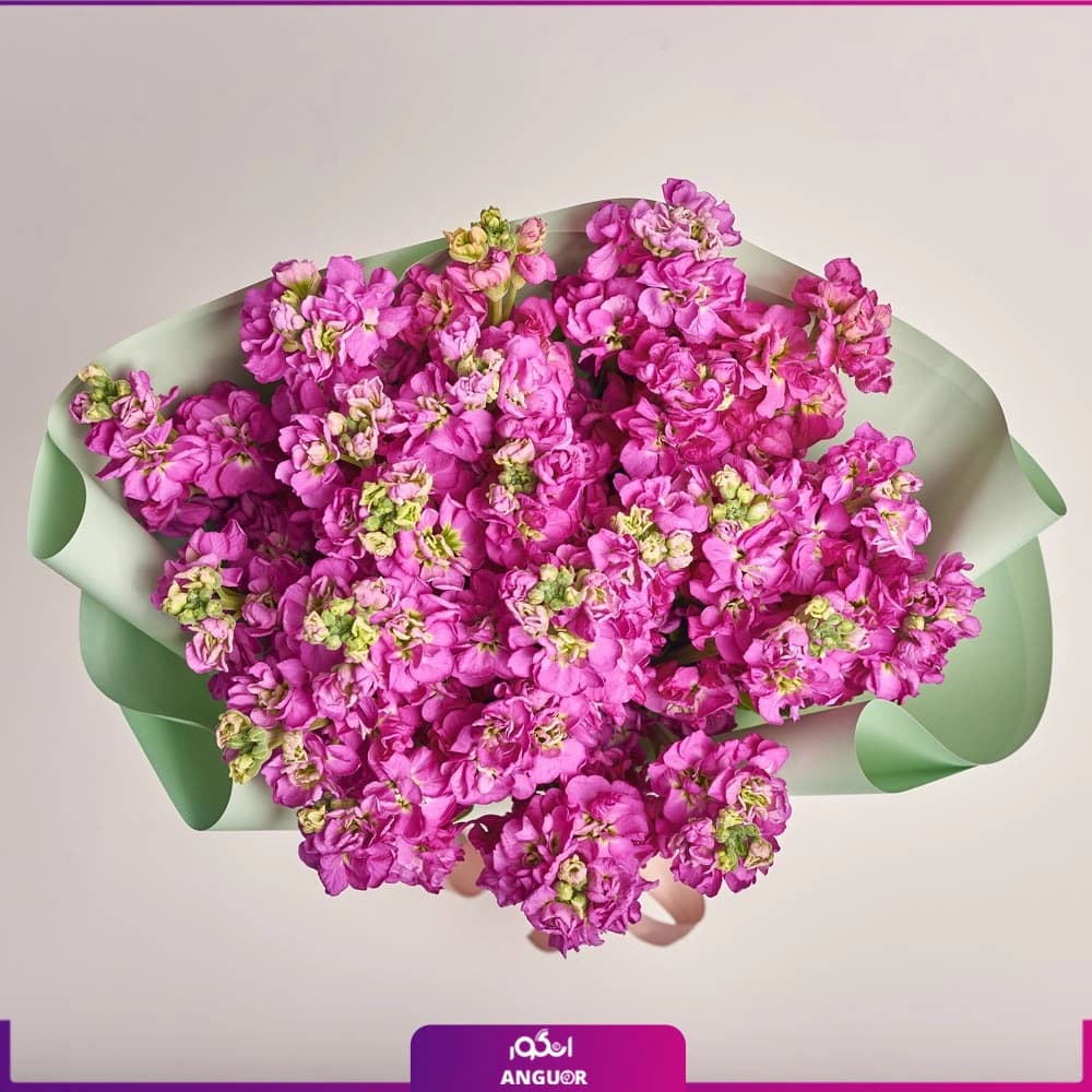 دسته گل سرخابی شب بو 25 عددی — تصویر ۳