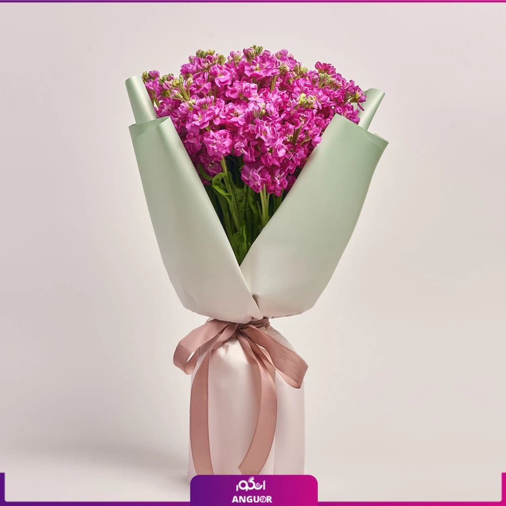 دسته گل سرخابی شب بو 25 عددی