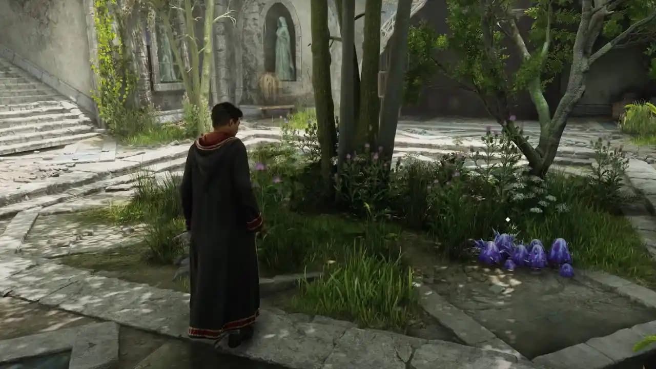 بازی Hogwarts Legacy برای Nintendo Switch 2 — تصویر ۴