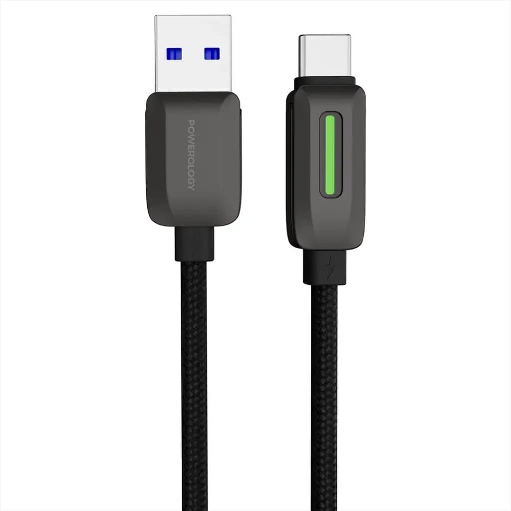 کابل پاورولوژی مدل BRAIDED USB-C
