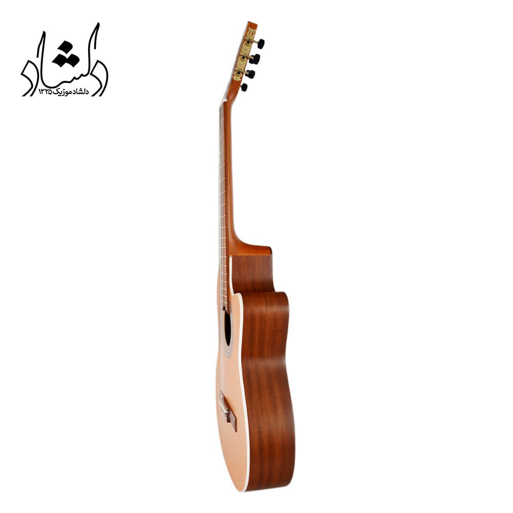 گیتار کلاسیک پارسی مدل Parsi M5 کاتوی — تصویر ۸