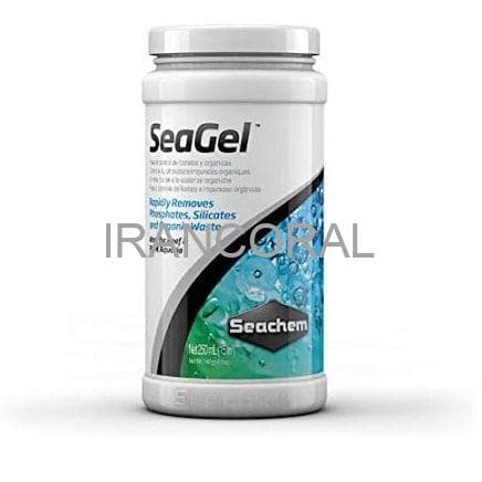 سیژل
