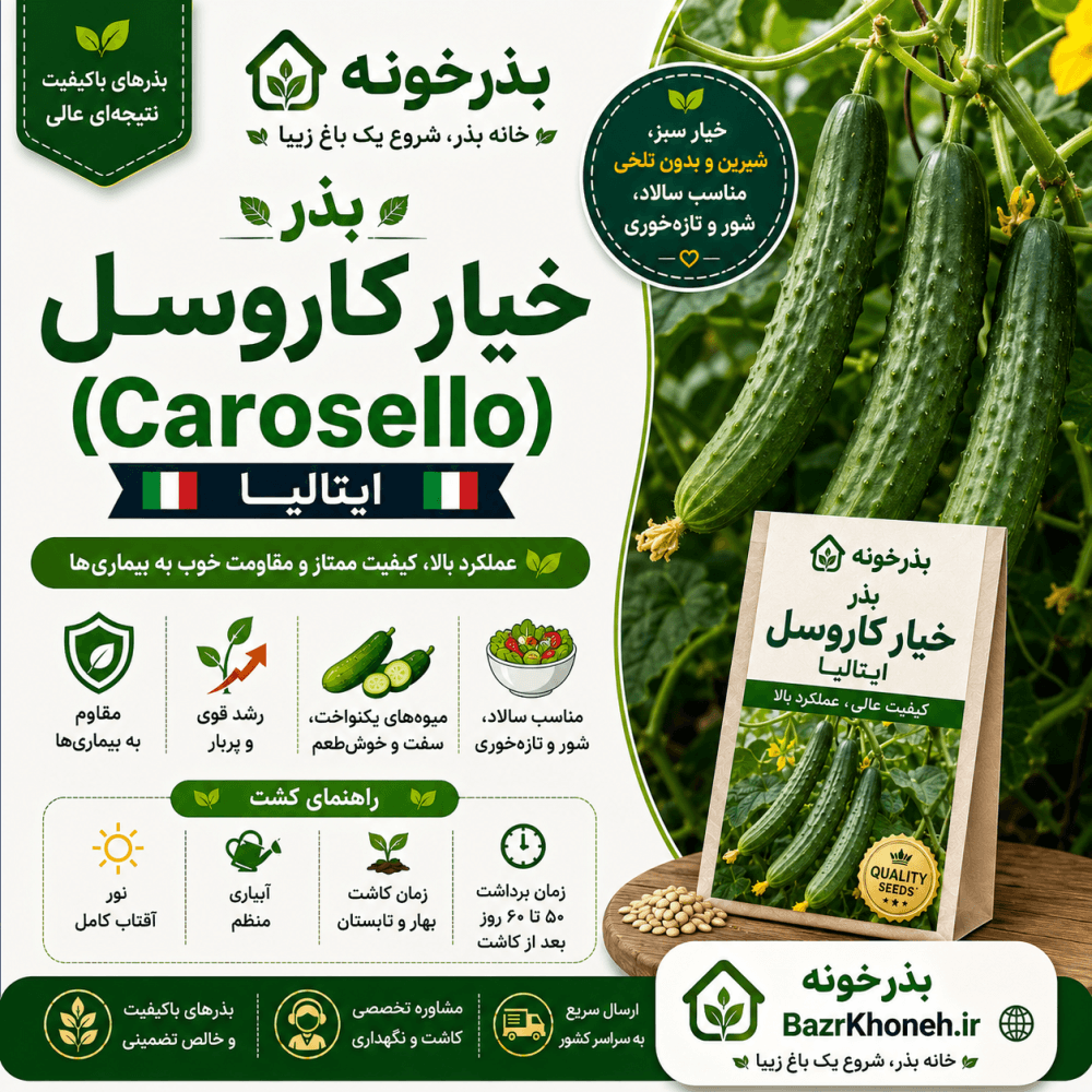 بذر خیار کاروسل ایتالیا