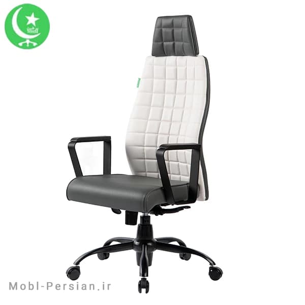 صندلی مدیریتی مدل T5000 پرشین — تصویر ۷