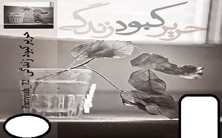 رمان حریر کبود زندگی | دانلود | کتاب خوان