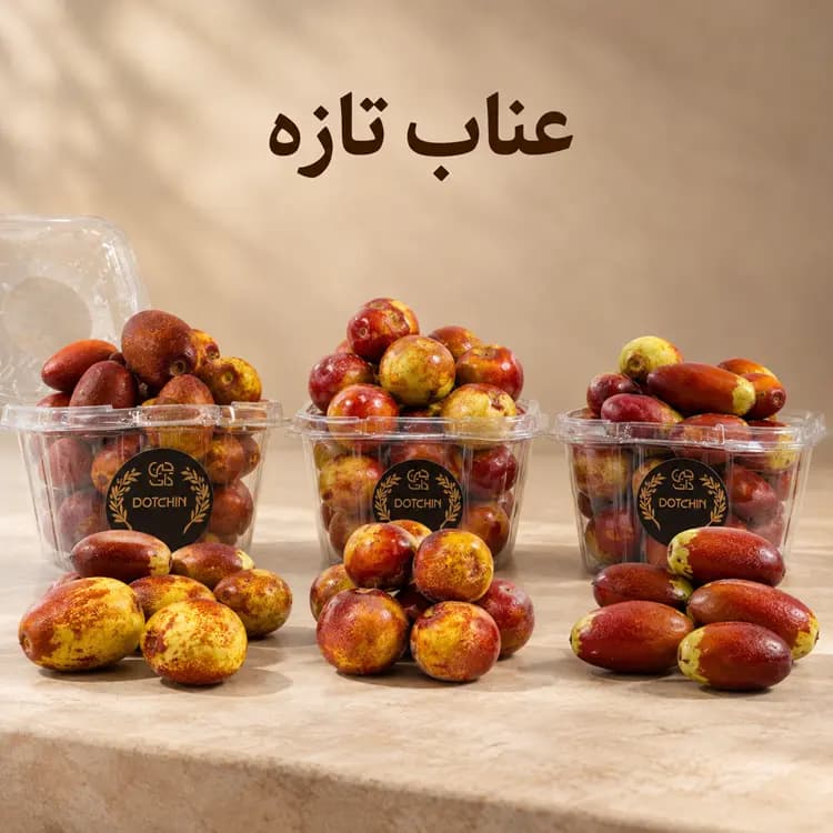 عناب تازه ۲۵۰ گرمی — تصویر ۶