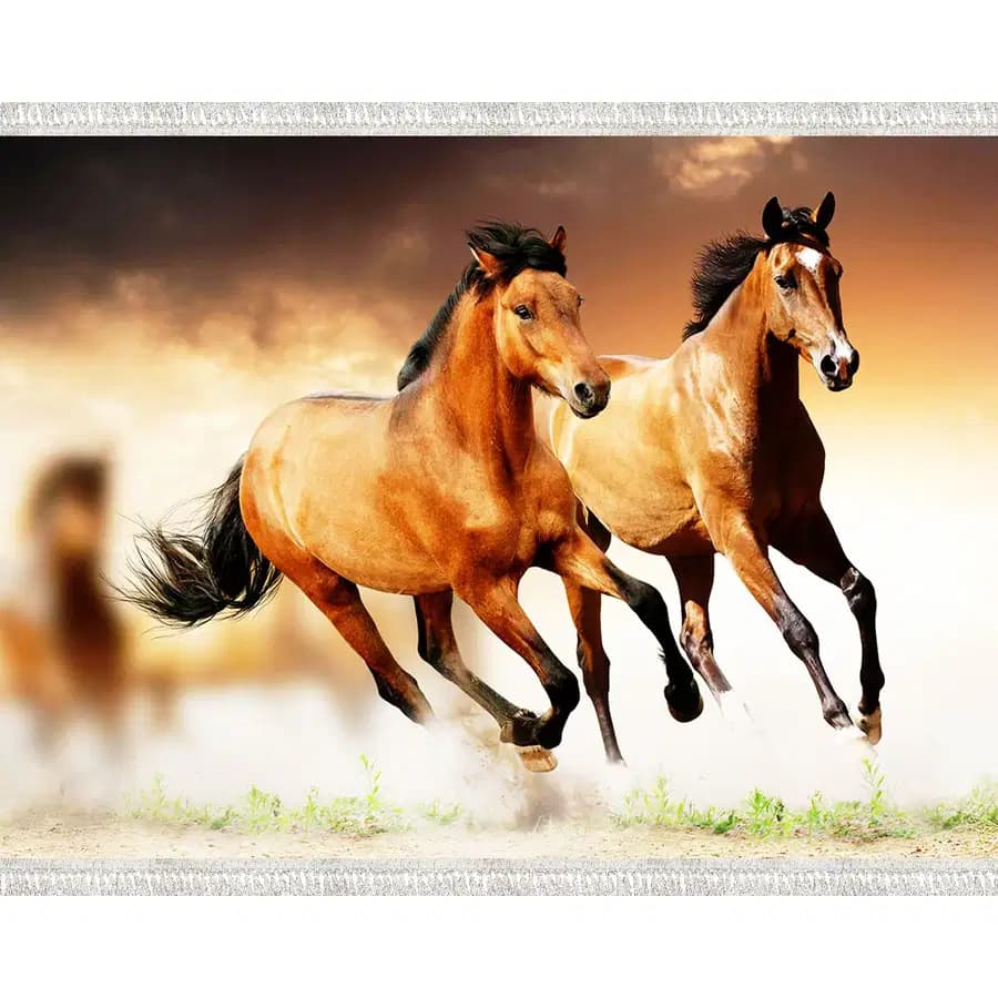 تابلو فرش و دیوارکوب هانوکس کد 386