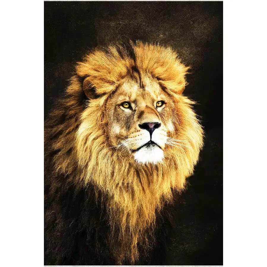 تابلو فرش و دیوارکوب هانوکس کد 1179-1