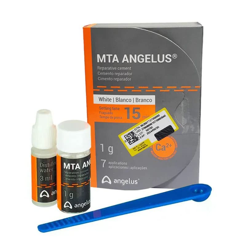MTA آنجلوس ANGELUS — تصویر ۹