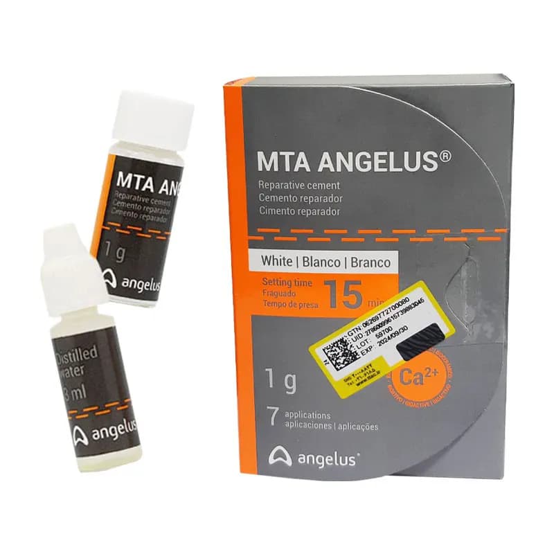 MTA آنجلوس ANGELUS — تصویر ۱۱