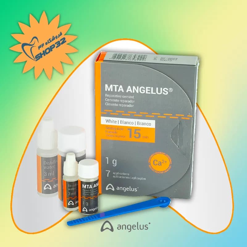 MTA آنجلوس ANGELUS — تصویر ۸