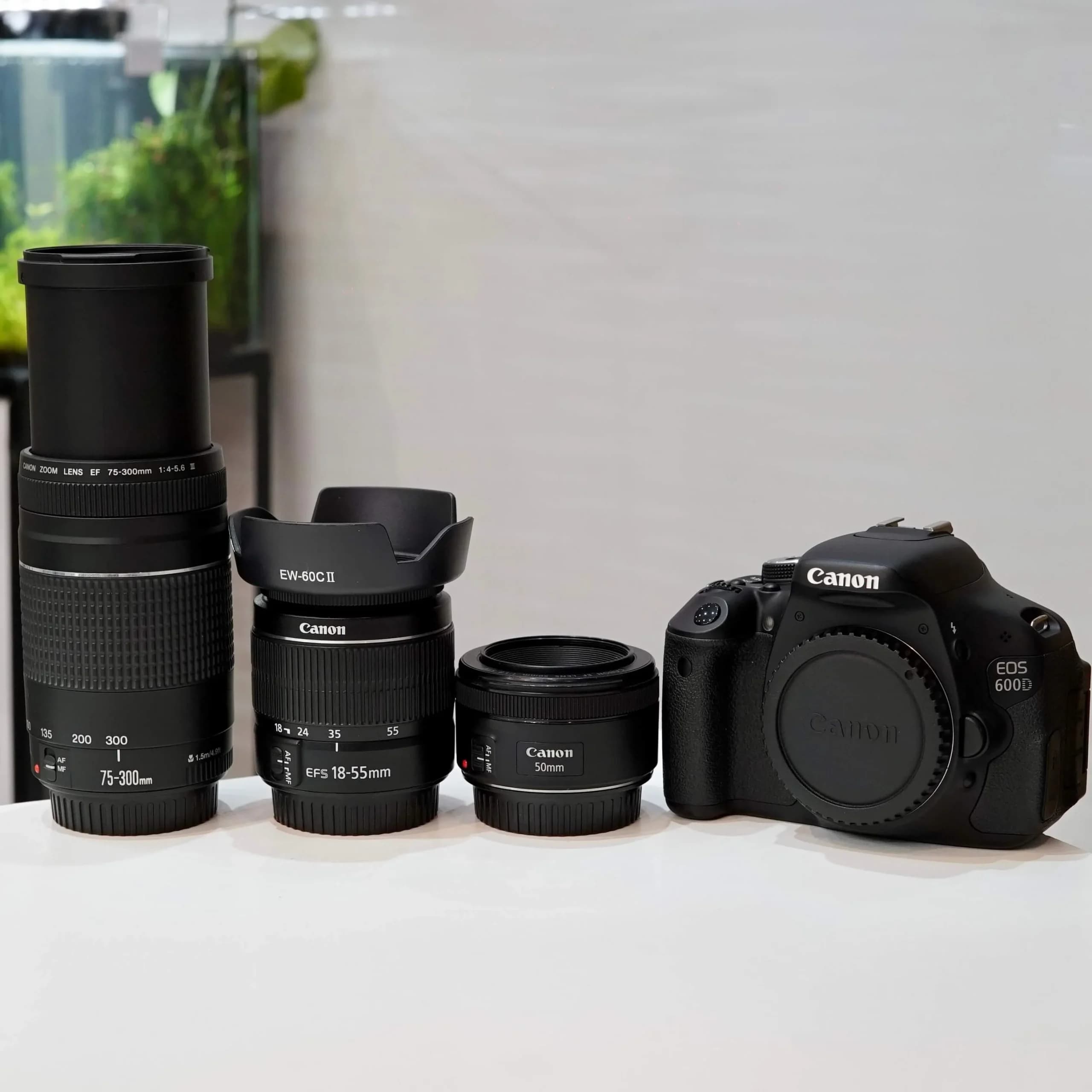 دوربین عکاسی کانن استوک مدل Canon 600D+18-55+50mm+75-300 همراه با لنز — تصویر ۲
