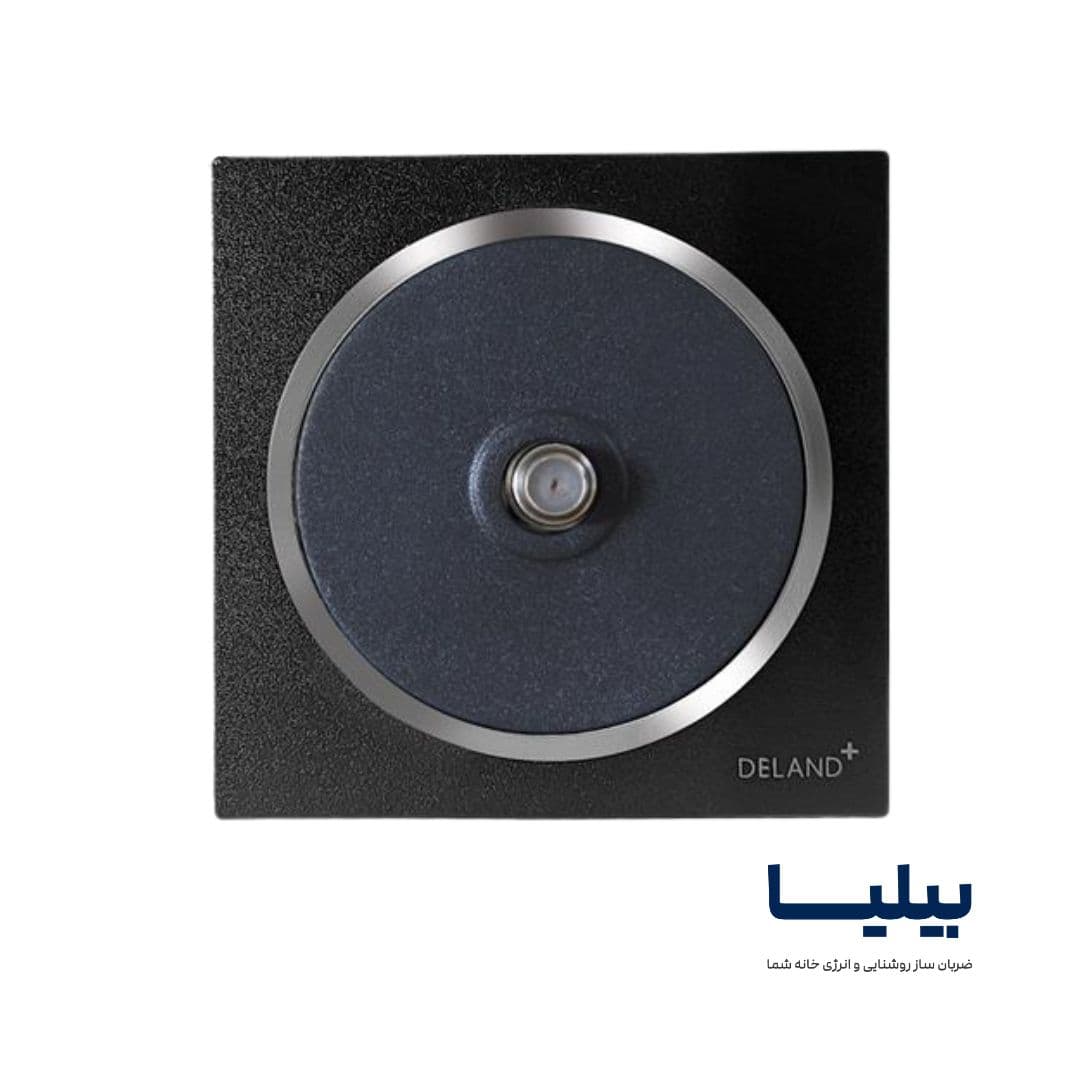 فیش آنتن SAT مشکی با زه نقره‌ای آوا دلند