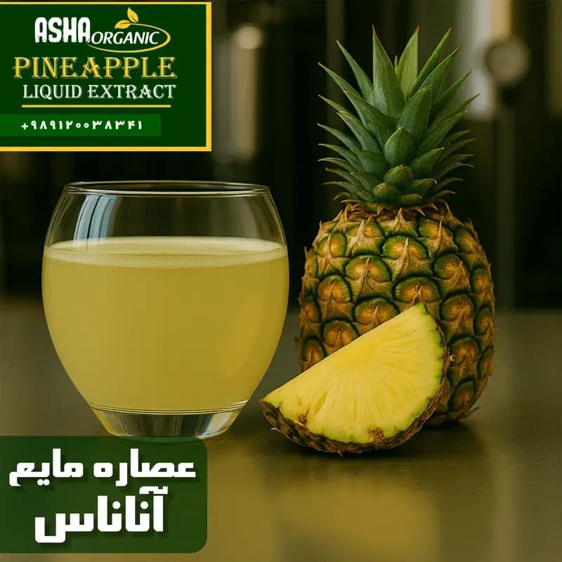 عصاره آناناس مایع — تصویر ۱۱