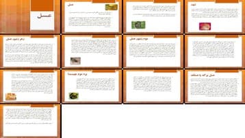 دانلود پروژه بررسی نقش و تاثیر عسل شهد زهر موم و بره موم زنبور
