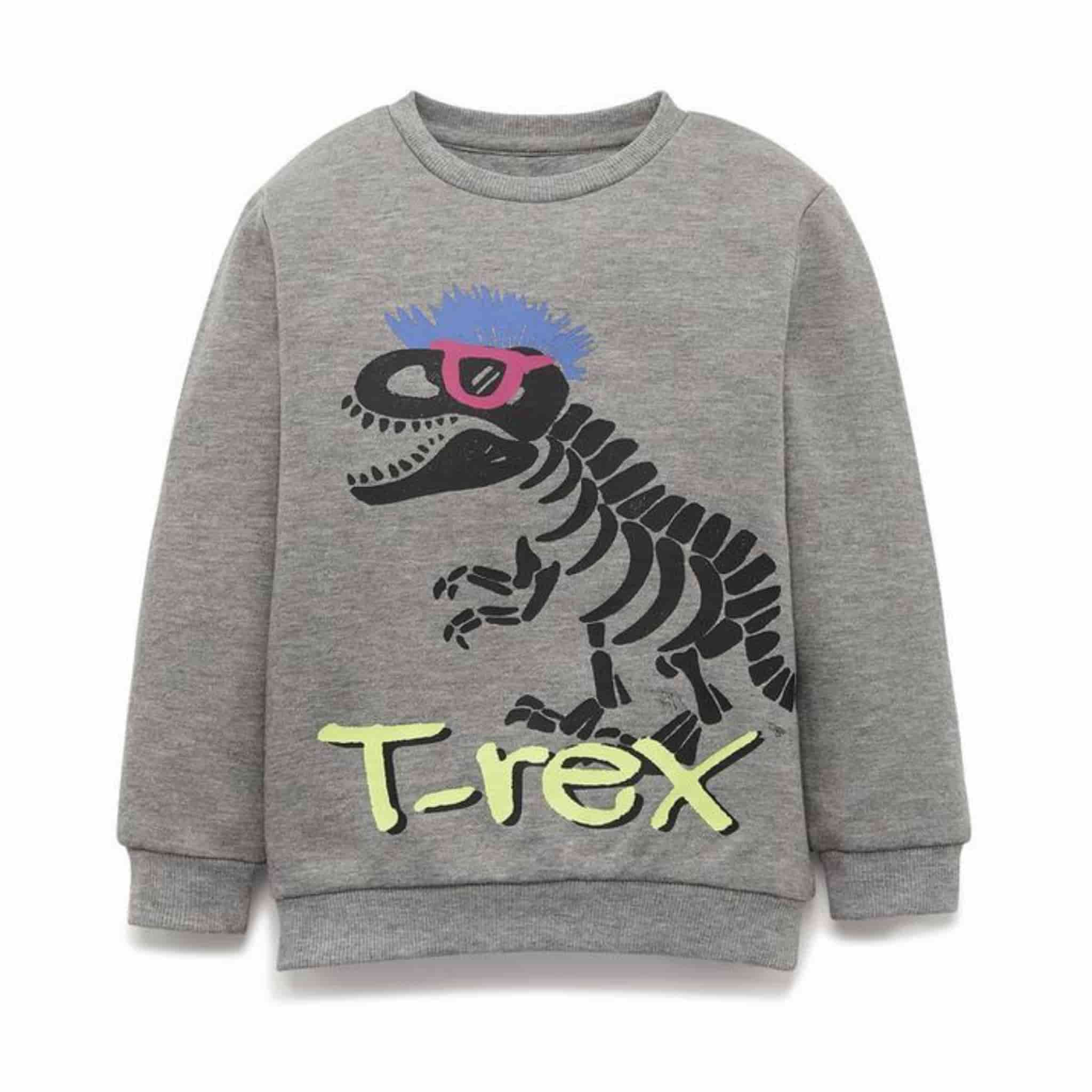 سوییشرت تو کرکی پسرانه T rex(مناسب ۴،۵ سال) — تصویر ۳