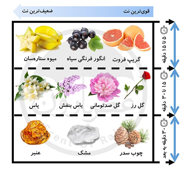 اسپری زنانه هانکا شی ایز کلابر حجم 200 میلی‌لیتر — تصویر ۵