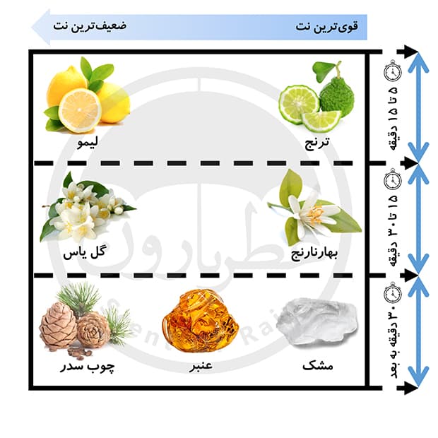 عطر بدن زنانه فراست اکسلنس حجم 200 میلی‌لیتر — تصویر ۳