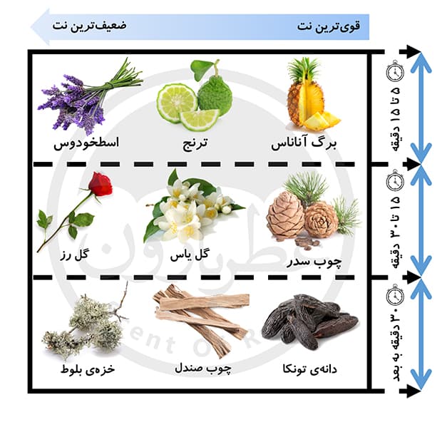 عطر بدن مردانه مای مونت وین حجم 220 میلی‌لیتر — تصویر ۳