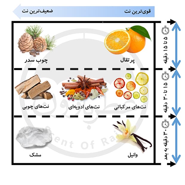 ادوتویلت مردانه عمادآرا اتوگراف حجم 30 میلی‌لیتر — تصویر ۵