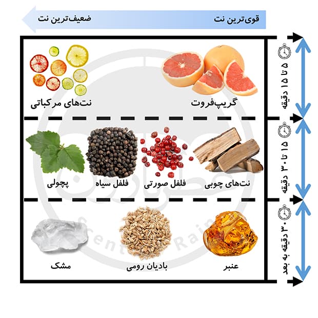ادوتویلت مردانه عمادآرا تولباکس حجم 30 میلی‌لیتر — تصویر ۳