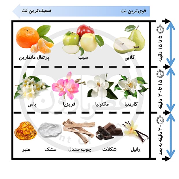 تستر ادوپرفیوم زنانه ورسای رد ادن حجم 100 میلی‌لیتر — تصویر ۳