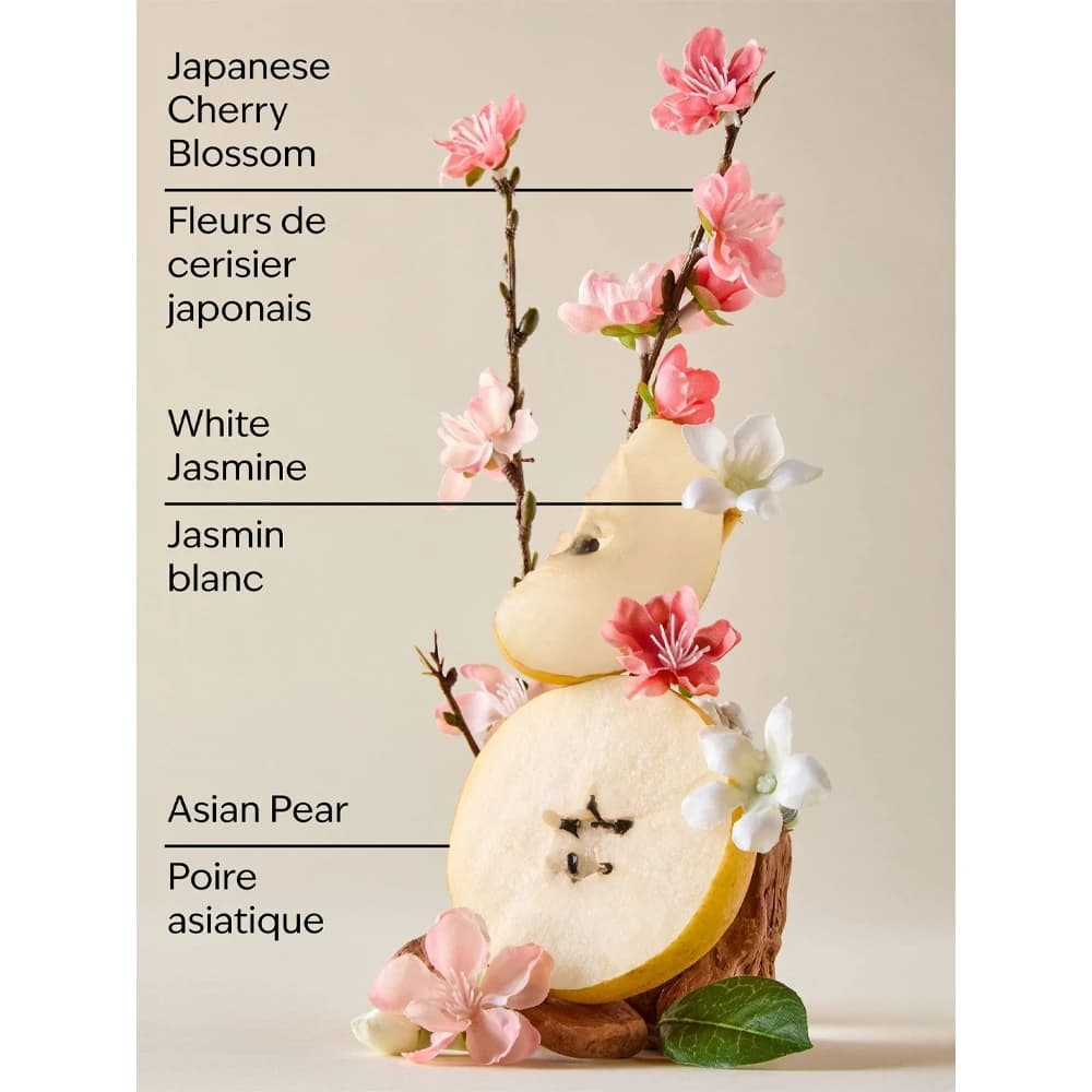 لوسیون بدن بث اند بادی رایحه JAPANESE CHERRY BLOSSOM حجم 236 میلی‌لیتر — تصویر ۸