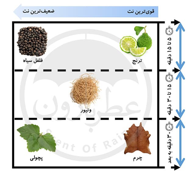 ادوپرفیوم مردانه ورسای مارتین حجم 100 میلی‌لیتر — تصویر ۳