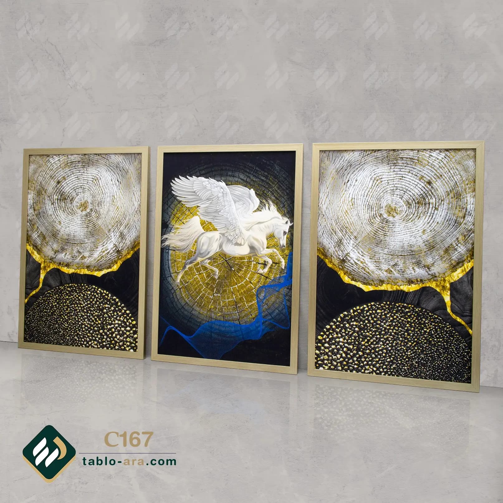 مجموعه تابلو دکوراتیو سه عددی کد C167