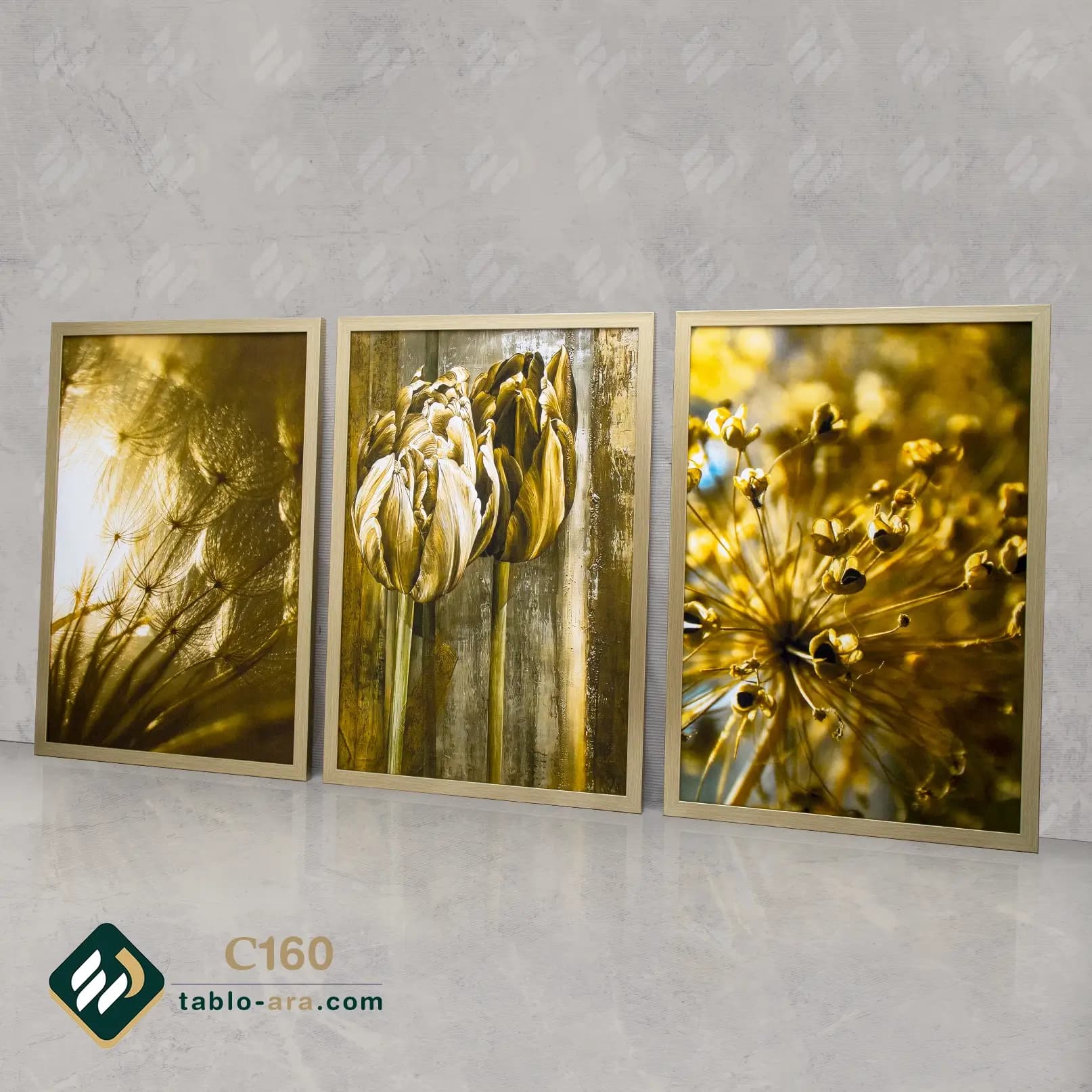 مجموعه تابلو دکوراتیو سه عددی کد C160
