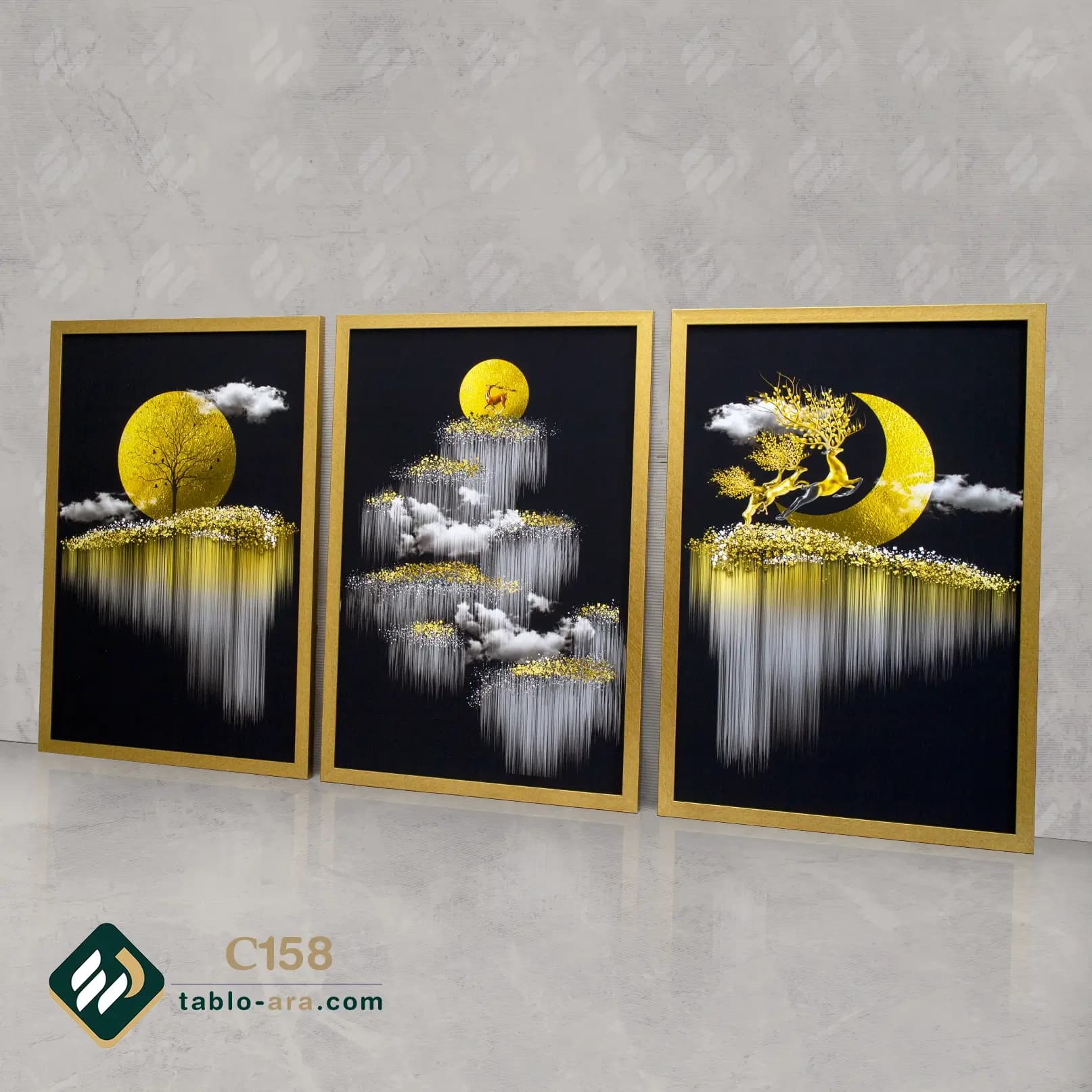 مجموعه تابلو دکوراتیو سه عددی کد C158