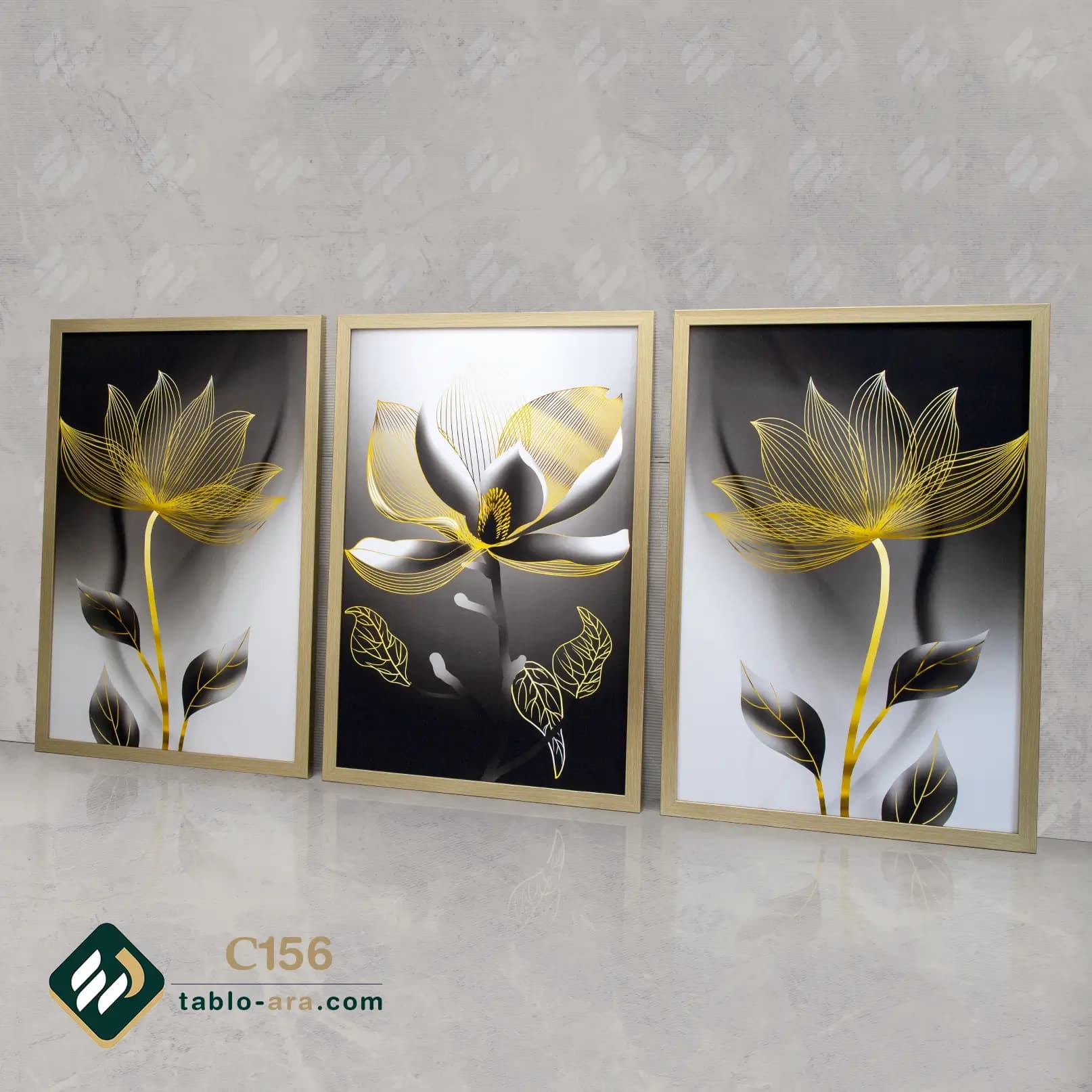 مجموعه تابلو دکوراتیو سه عددی کد C156