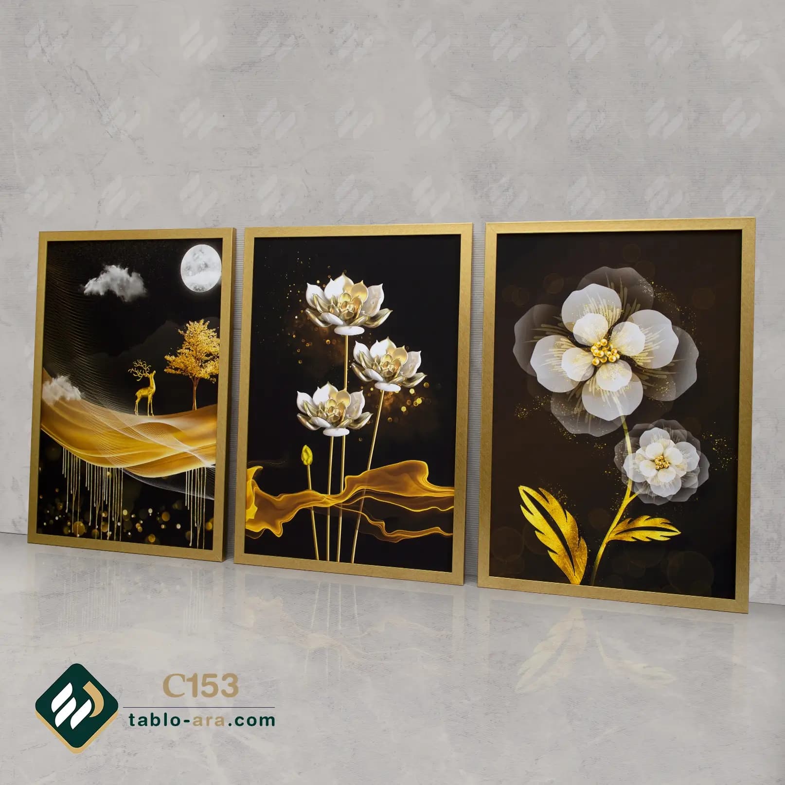 مجموعه تابلو دکوراتیو سه عددی کد C153