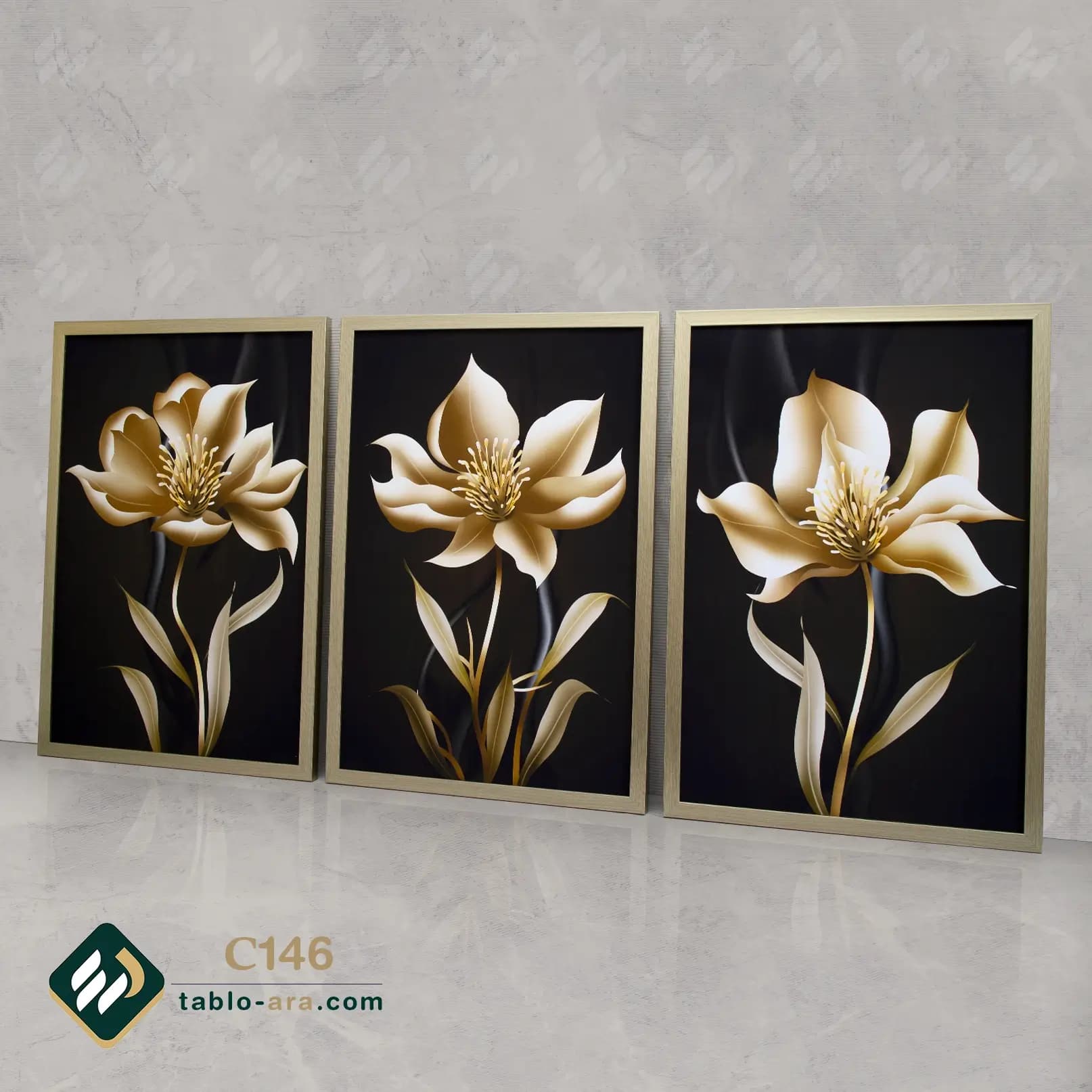 مجموعه تابلو دکوراتیو سه عددی کد C146