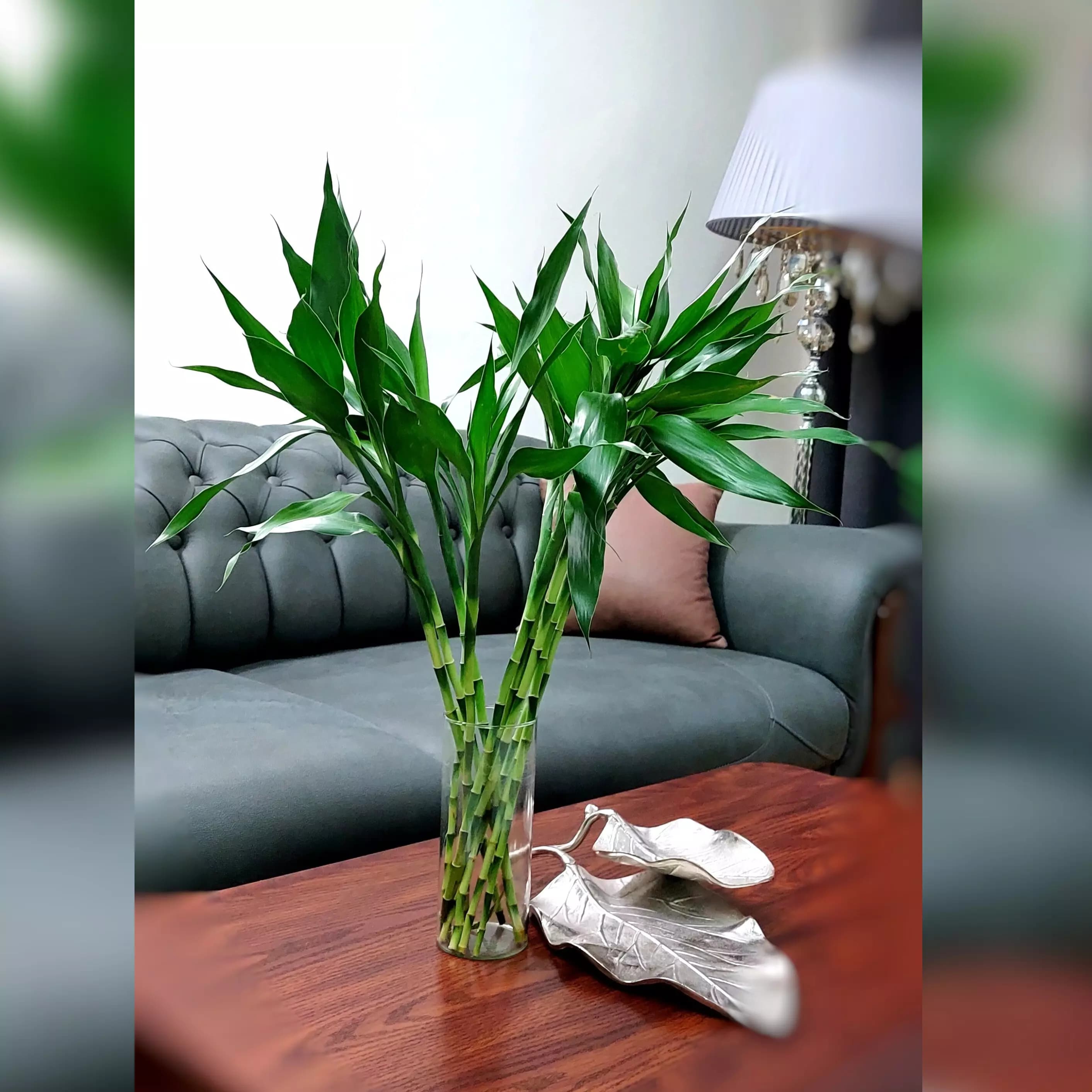 بامبو رو میزی بسیار با کیفیت 7 عددی — تصویر ۲