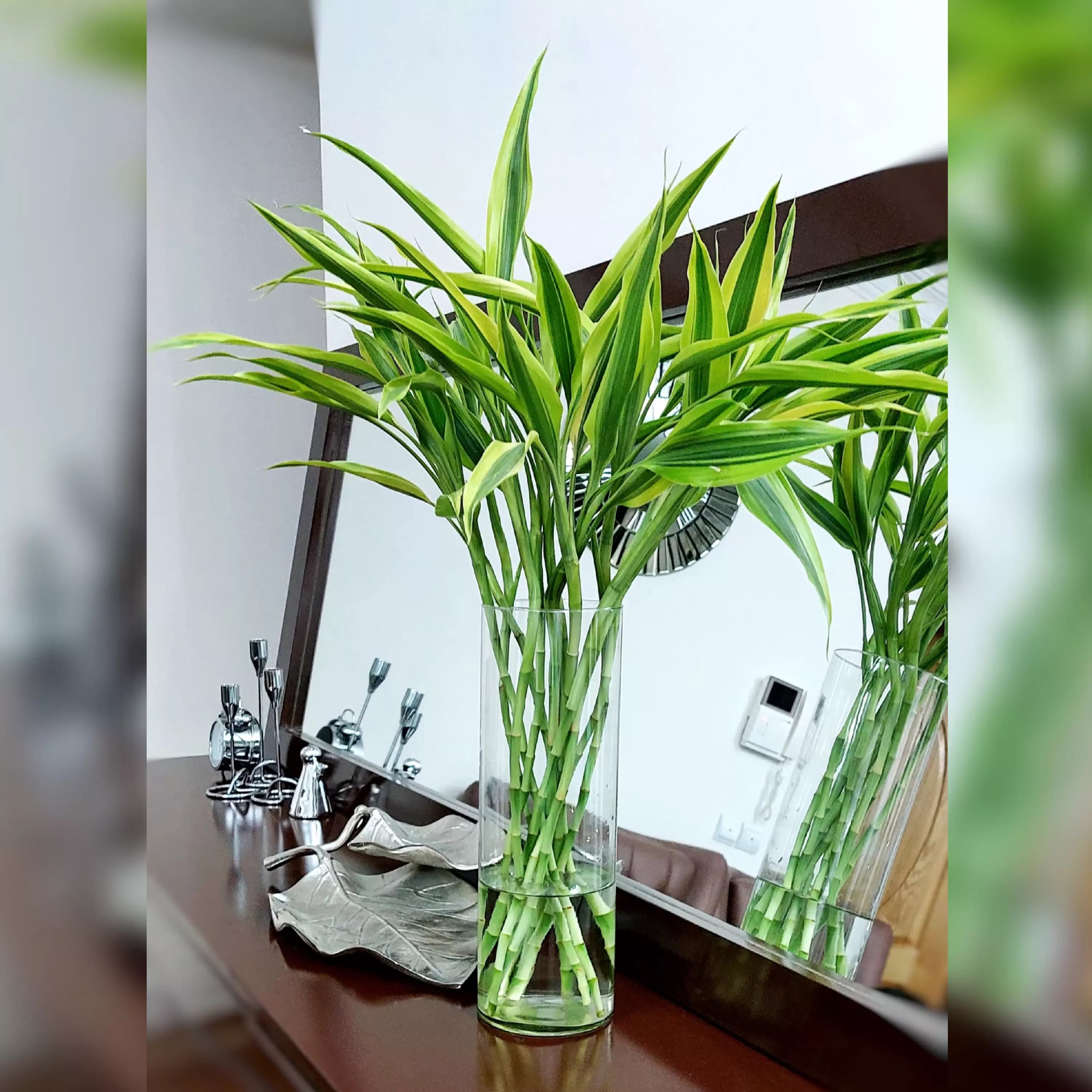 بامبو رومیزی ابلق خاص و زیبا دسته 9عددی — تصویر ۲