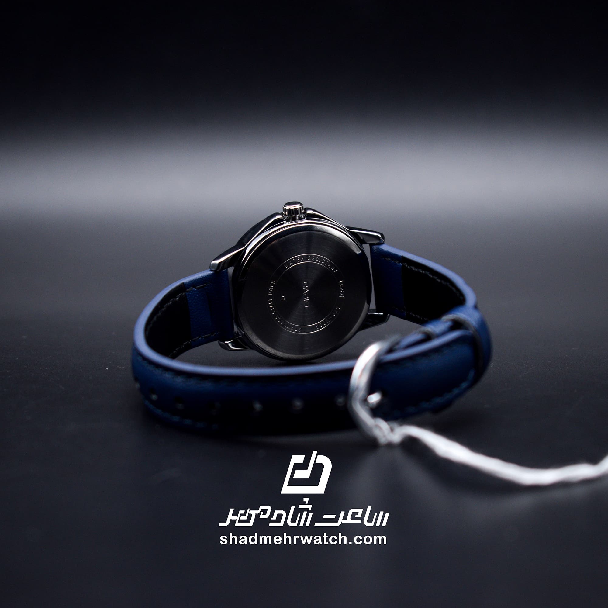 ساعت مچی زنانه کاسیو (Casio) LTP-V004L-2B — تصویر ۹