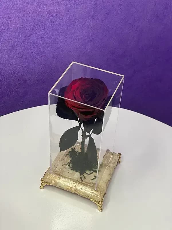 رز جاودان قرمز مشکی پایه سنگی — تصویر ۲