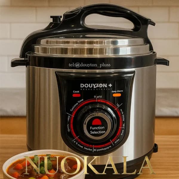 زودپز دایتون پلاس مدل DP-702 — تصویر ۶