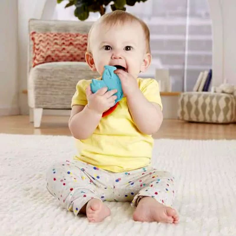 دندانگیر سیلیکونی فیشر پرایس Fisher Price — تصویر ۹