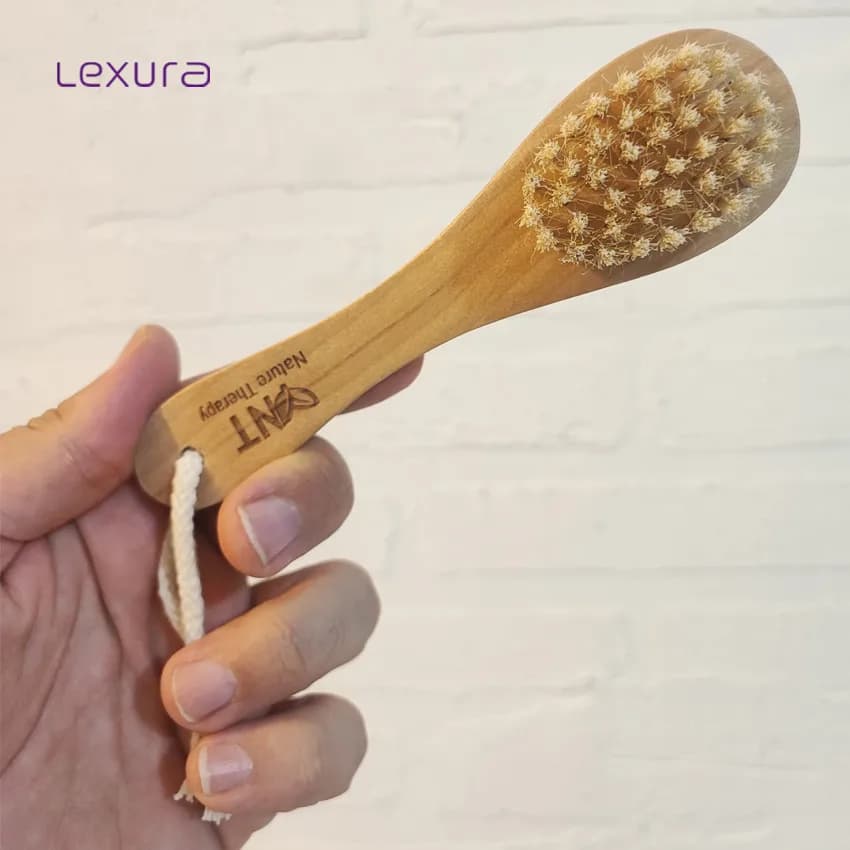 براش اسکالپ (هیربراش) چوبی دسته دار مدل NT-پرز نرم — تصویر ۵