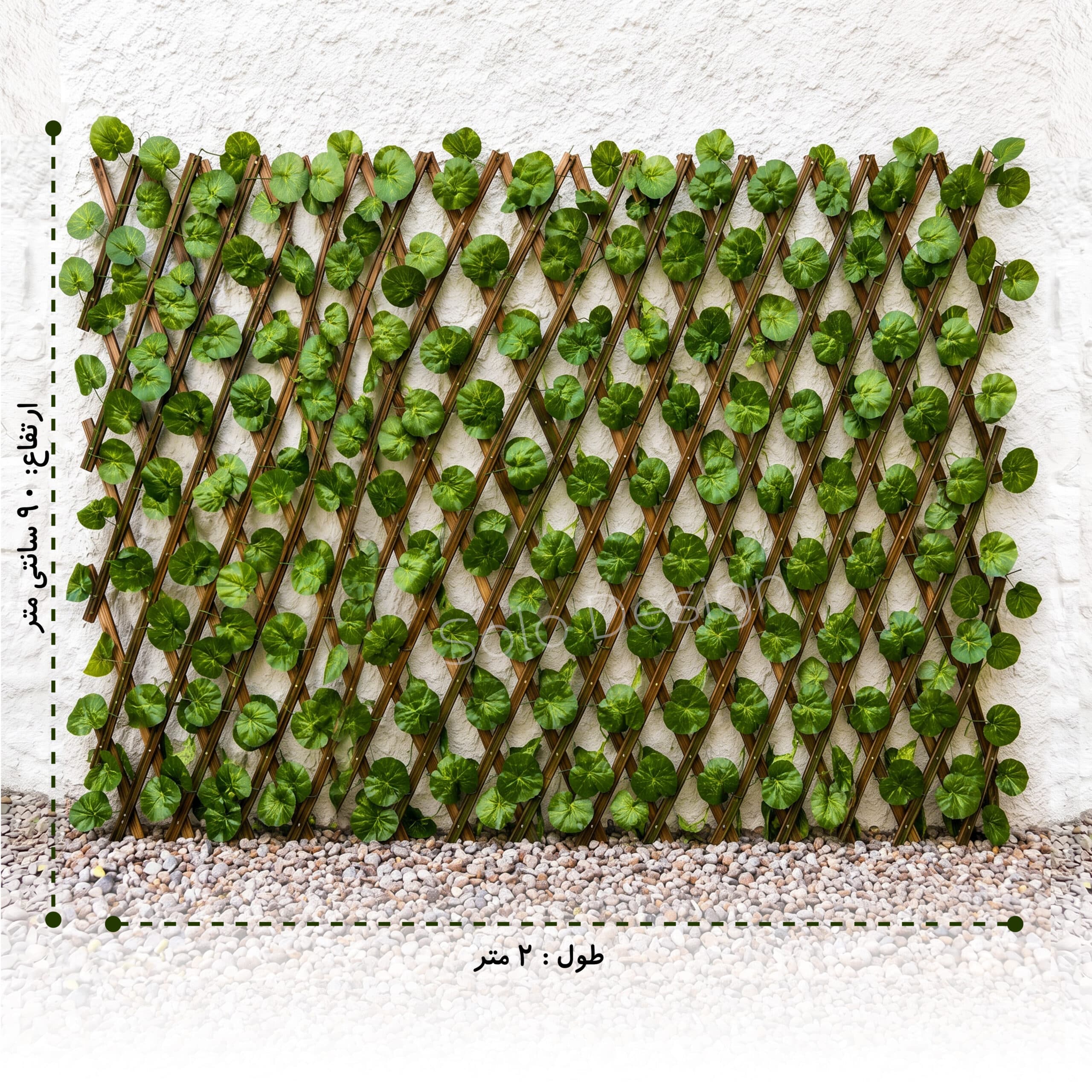 حصار آکاردئونی برگ ریز — تصویر ۵