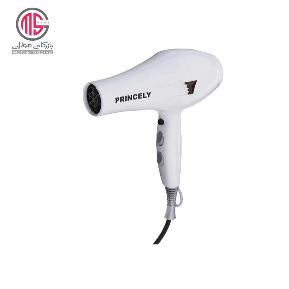 سشوار خانگی پرنسلی مدل PR 249 AT